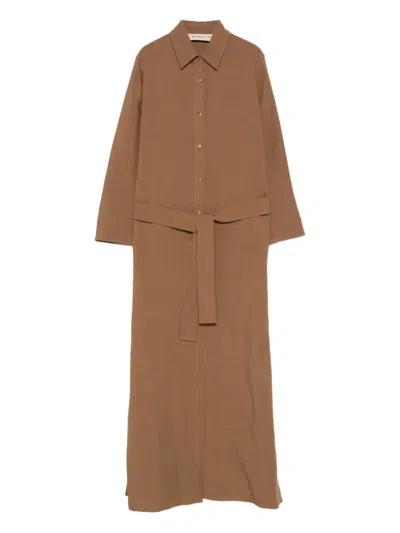 Blanca Vita Belted Shirt Dress In Brown