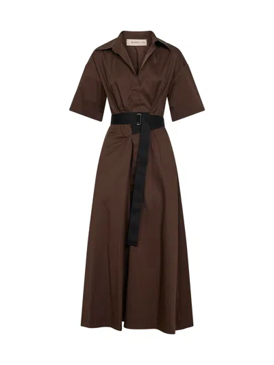 Blanca Vita Chocolate Stretch Poplin Alzety Belted Midi Dress In Brown