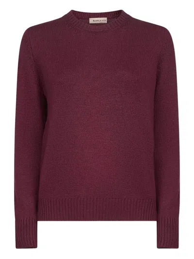 BLANCA VITA RIBBED CREW-NECK SWEATER