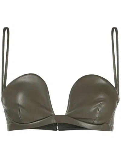 Blanca Vita Triticum Bra Top In Green