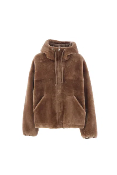 Blancha Hooded Shearling Jacket In Burgundy