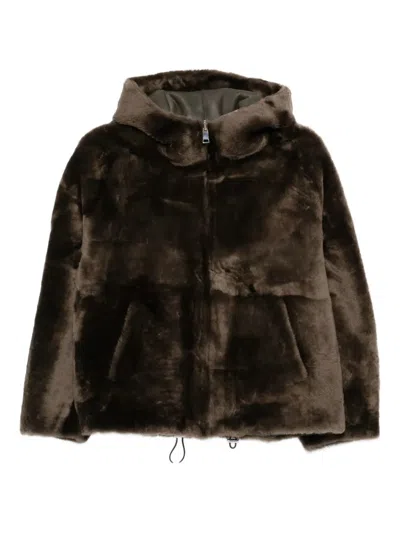 BLANCHA HOODED JACKET
