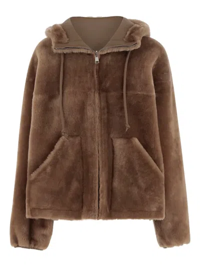Blancha Hooded Shearling Jacket
