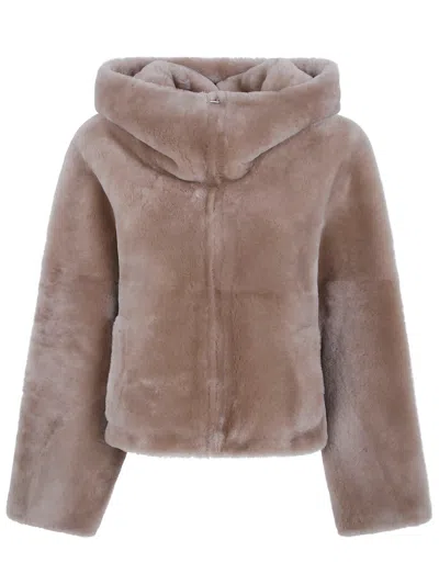 Blancha Jacket Merino Shearling "hazelnut" In Brown