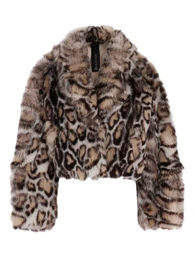 Blancha Leopard-print Shearling Jacket In Brown