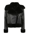 Blancha Shearling Jacket In Black