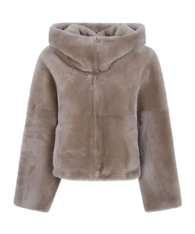 Blancha Long-sleeved Casual Jacket In Hazelnut
