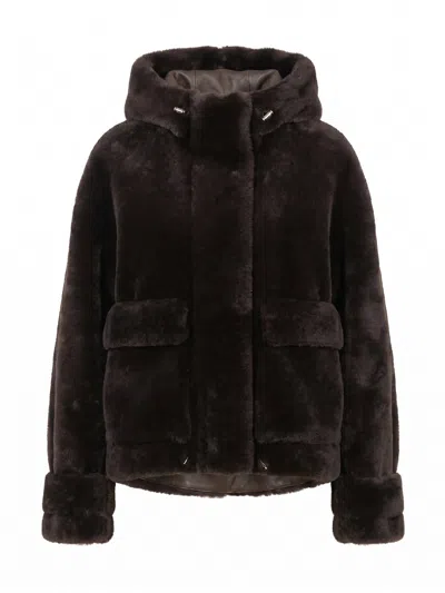 Blancha Shearling Jacket In Brown