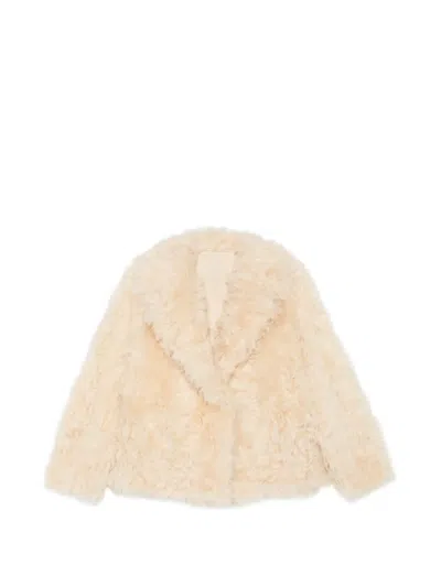 Blancha Shearling Notch-lapel Jacket In Multi