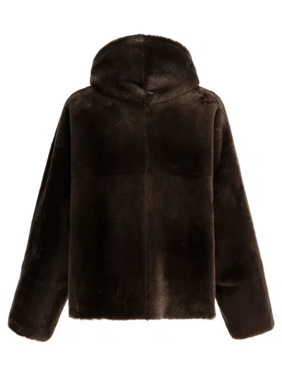 Blancha Shearling Reversible Jacket In Brown