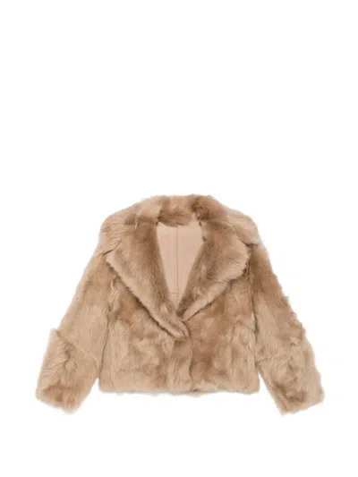 Blancha Shearling-finish Lapel-collar Jacket In Brown