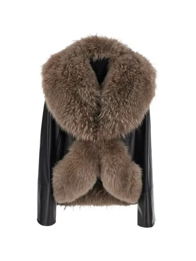 Blancha Shearling-trim Leather Jacket In Multi