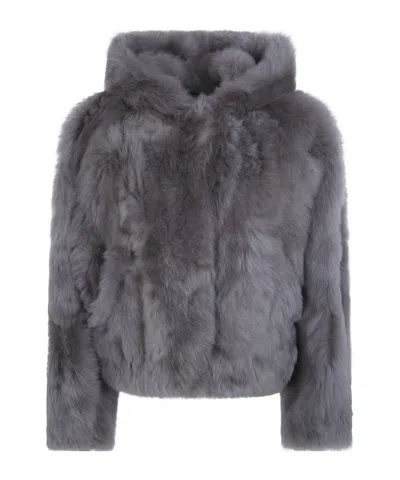 Blancha Toscana Shearling Jacket In Gray