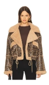 Blanknyc Bonded Leopard Print Faux Shearling Moto Jacket In Brown
