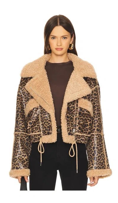 Blanknyc Bonded Moto Jacket In Animal Print