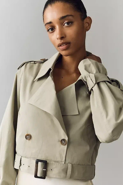 Blanknyc Business As Usual Jacket In Green