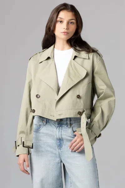 Blanknyc Business As Usual Jacket In Sage In Green