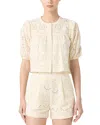 Blanknyc Embroidered Eyelet Cropped Cotton Top In Roaming Free