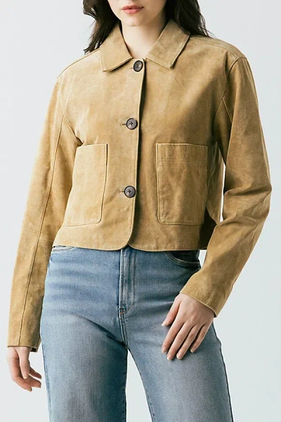 Blanknyc Cinnamon Crunch Cropped Suede Jacket In Camel Suede, Women's At Urban Outfitters In Brown