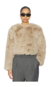 Blanknyc Crop Faux Fur Coat In Neutral