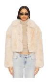 Blanknyc Crop Faux Fur Jacket In Gram Momen