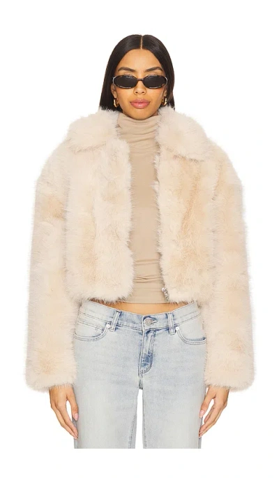 Blanknyc Crop Faux Fur Jacket In Gram Momen