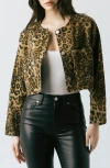 Blanknyc Crop Leopard Print Denim Jacket In Animal Print
