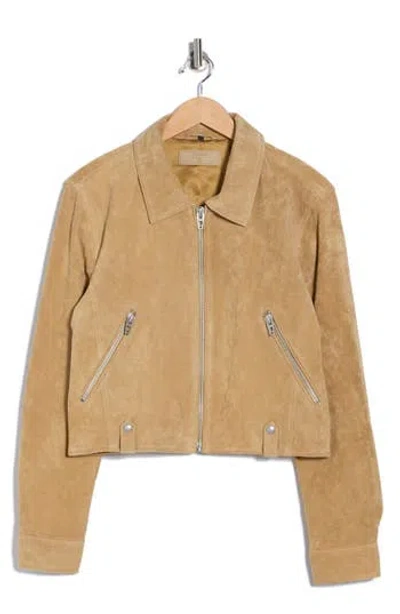 Blanknyc Crop Suede Jacket In Animal Print