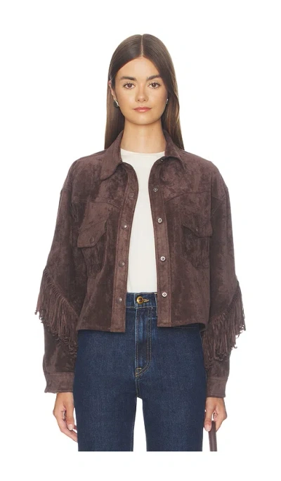 Blanknyc Cropped Fringe Jacket In Brown