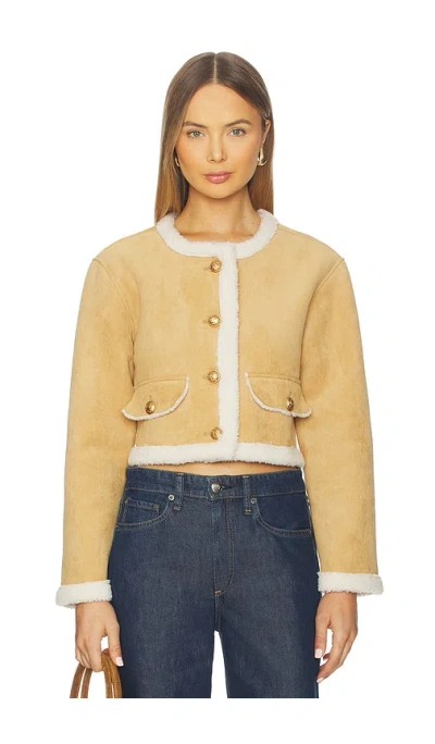 Blanknyc Cropped Jacket In Brown