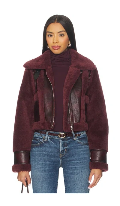 Blanknyc Cropped Jacket In Burgundy
