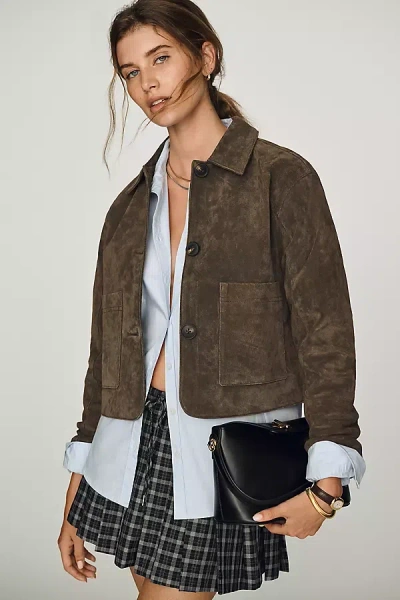 Blanknyc Cropped Suede Jacket In Brown