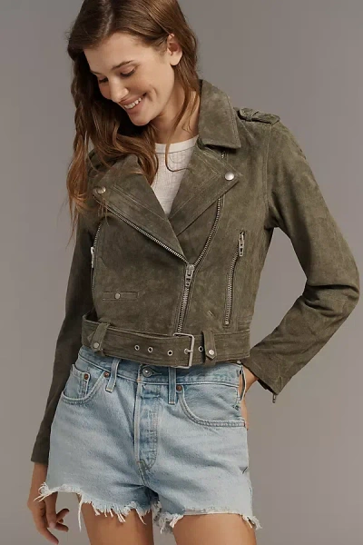 Blanknyc Cropped Suede Moto Jacket In Brown