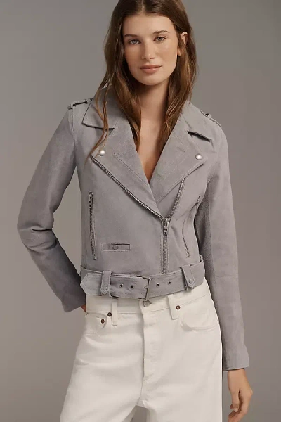 Blanknyc Cropped Suede Moto Jacket In Gray