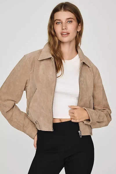 Blanknyc Cropped Suede Moto Jacket In Neutral
