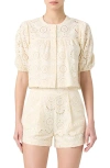 Blanknyc Embroidered Eyelet Cropped Cotton Top