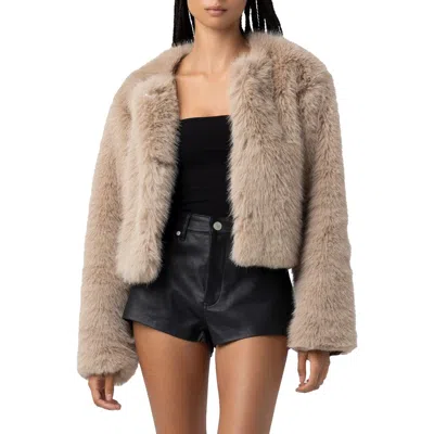 Blanknyc Faux Fur Crop Jacket In Brown
