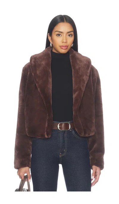Blanknyc Faux Fur Teddy Coat In Brown