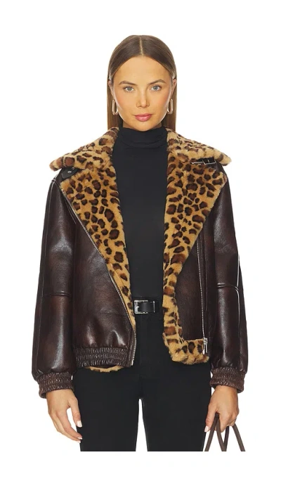 Blanknyc Faux Leather Jacket In Brown