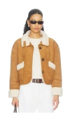 Blanknyc 자켓 In Brown