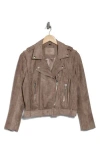 Blanknyc Faux Suede Moto Jacket In Chance Of Rain