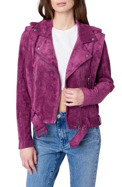 Blanknyc Faux Suede Moto Jacket In Sparkling Grape