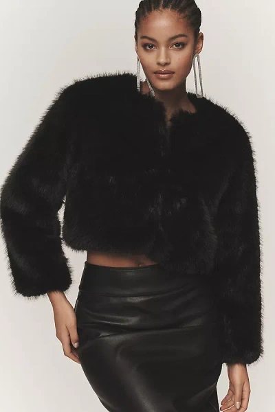 Blanknyc Gala Affair Faux Fur Crop Jacket In Black