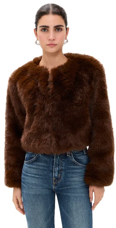 Blanknyc Gala Affair Jacket Brown