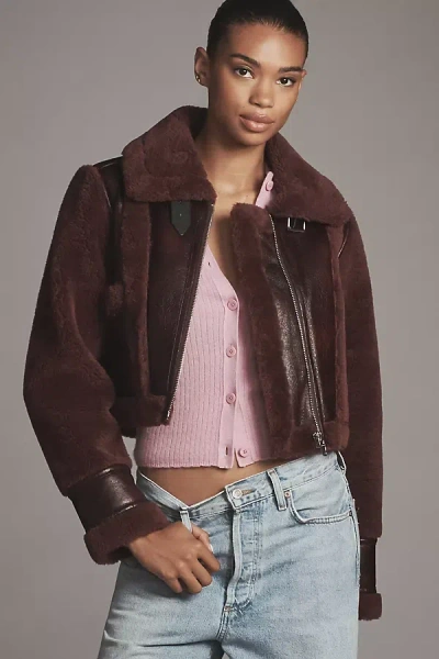 Blanknyc Head Start Crop Sherpa Fleece Jacket In Burgundy