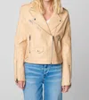 Blanknyc Moto Semi-fit Jacket In Head To Toe In Multi