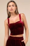 Blanknyc Sneak Peak Burgundy Velvet Bustier Crop Top In Burgundy