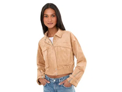Blanknyc Spin Off Faux Suede Bomber Jacket Women's Coat Camel: Md In Brown