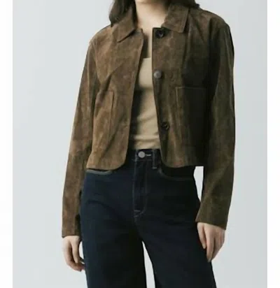 Blanknyc Suede Cropped Jacket In Black Coffee In Brown