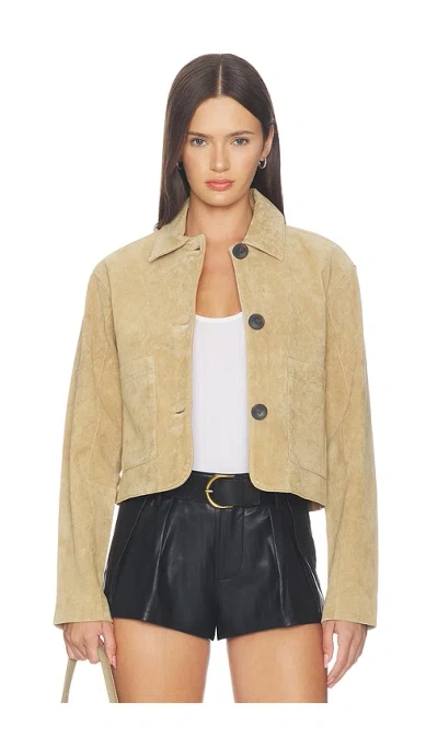 Blanknyc Suede Jacket In Cinnamon Crunch